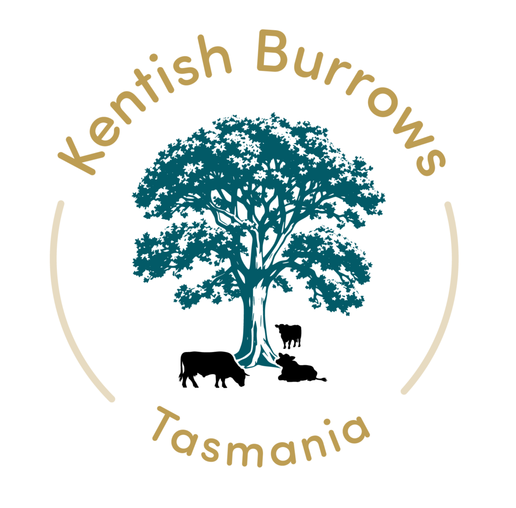 Kentish Burrows Logo RGB